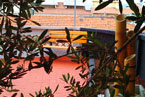 Casa creativa